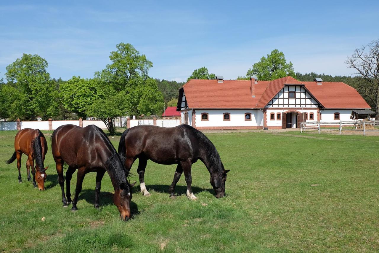 Palac Wiejce Skwierzyna Exterior foto